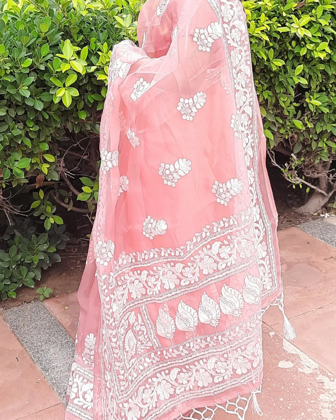 Peach Organza Embroidered Saree