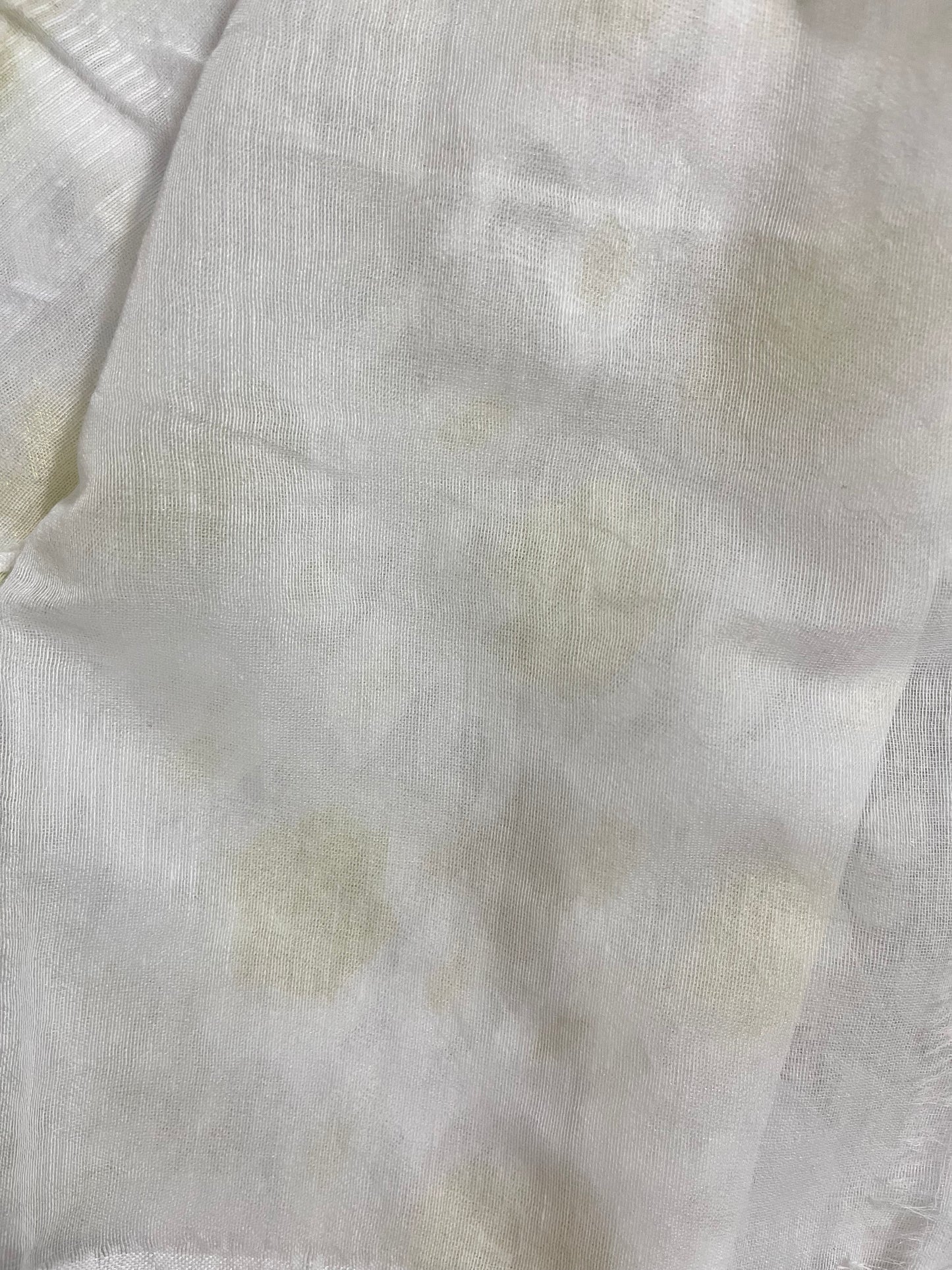 Jahnavi - White Jamdani Saree