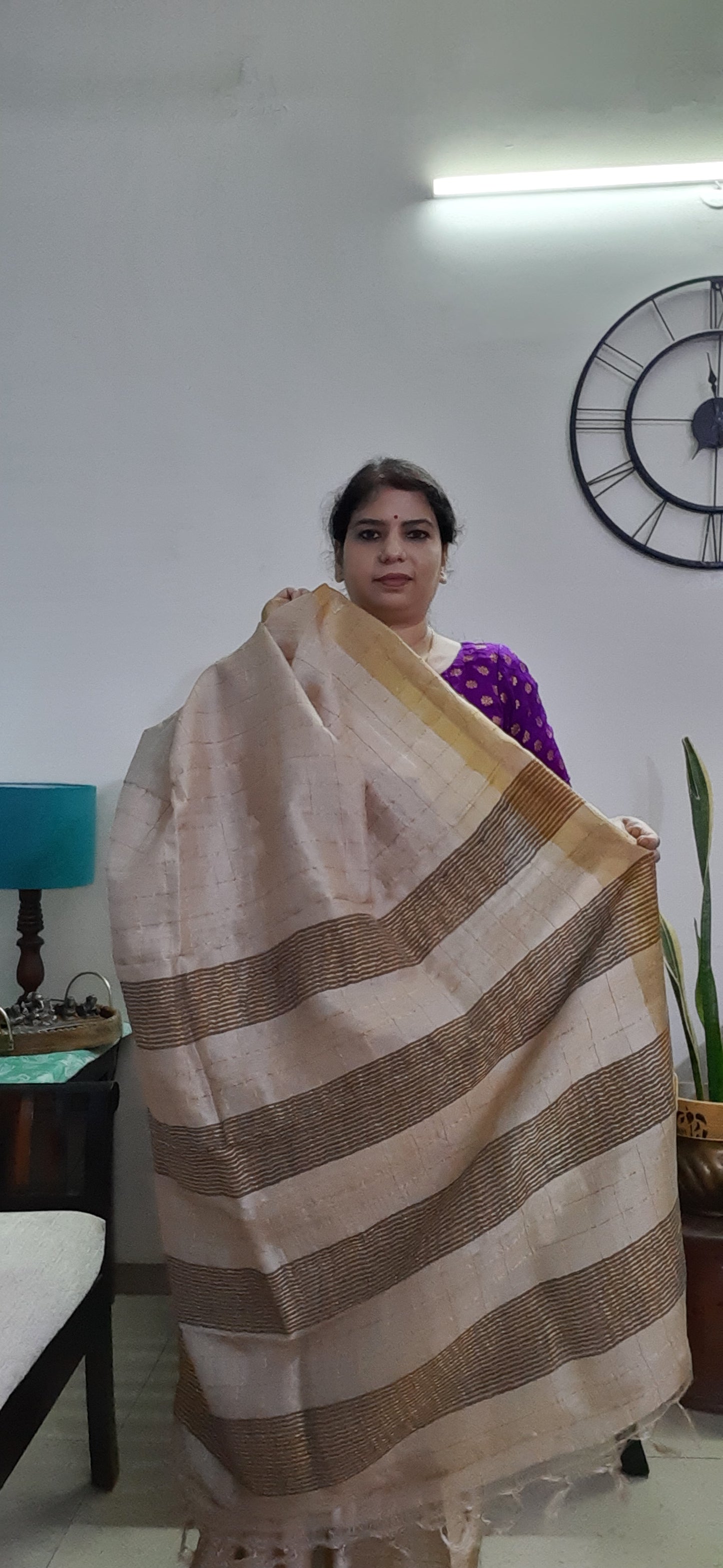 Natural Color Pure Tussar Silk Saree - Zari Checks