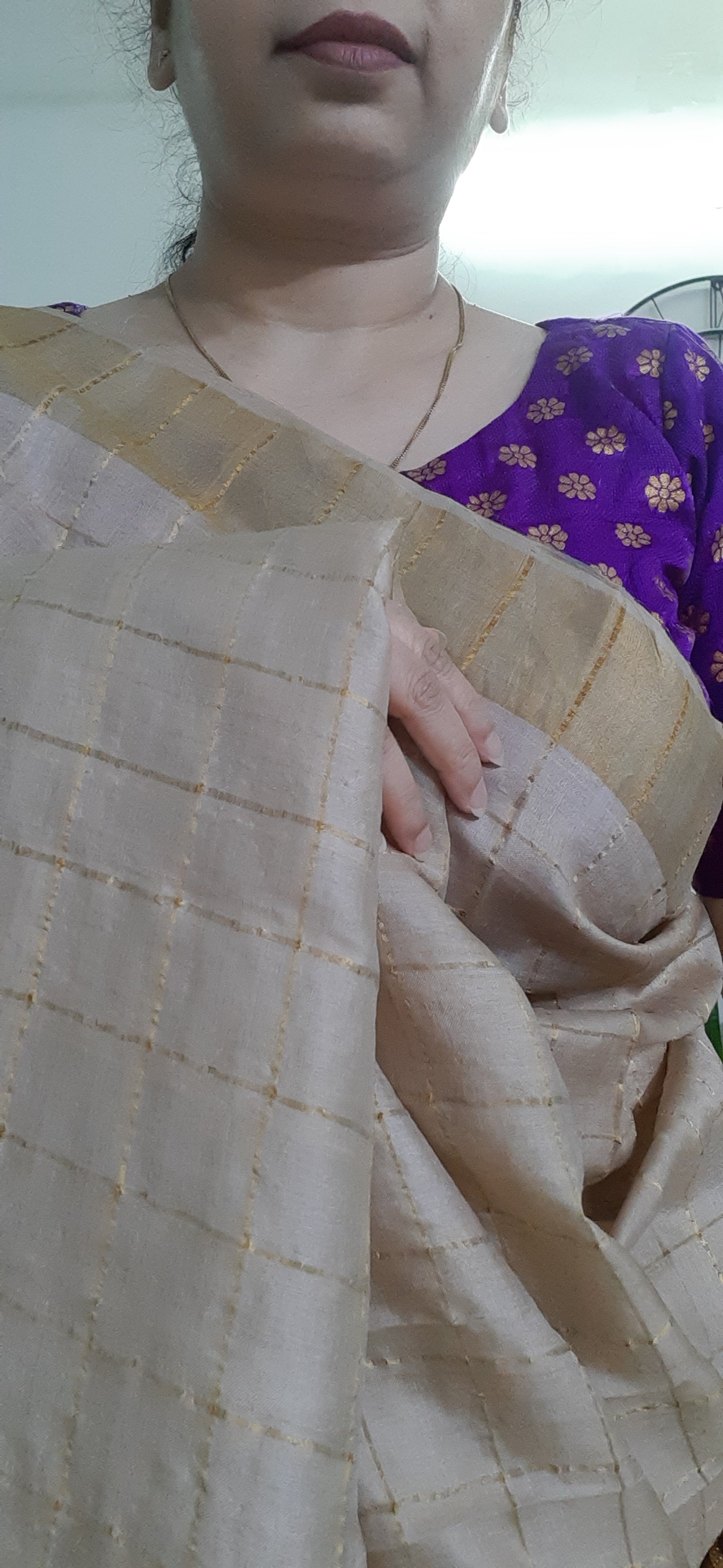 Natural Color Pure Tussar Silk Saree - Zari Checks