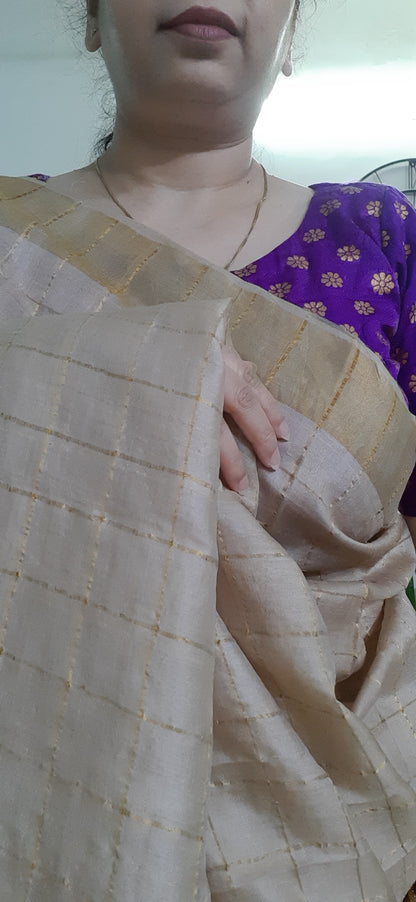 Natural Color Pure Tussar Silk Saree - Zari Checks