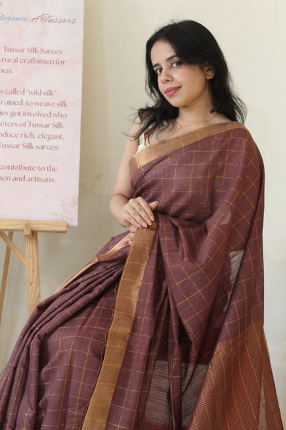 Brown Cotton Silk Zari Checks Saree